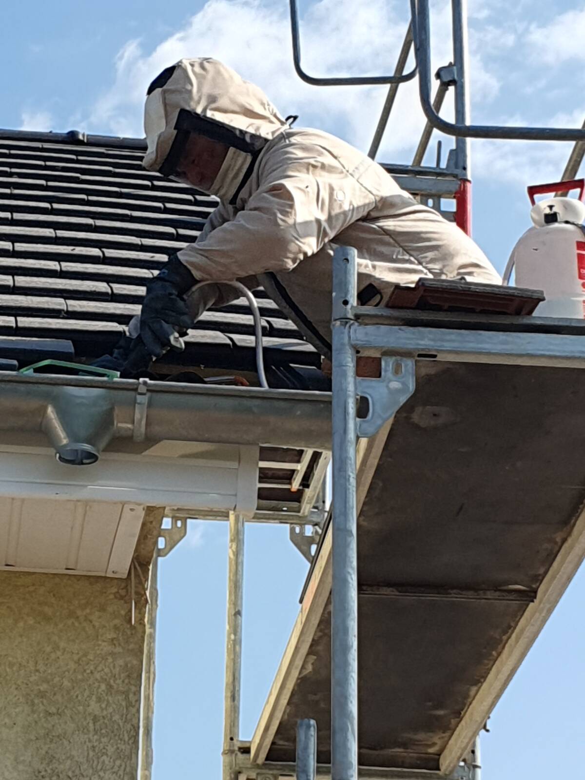 NID DE GUEPES SUR TOITURE | KD Pro Découvrez notre prestation d’enlèvement de nid de guêpes à Riedisheim Wittenheim 0
