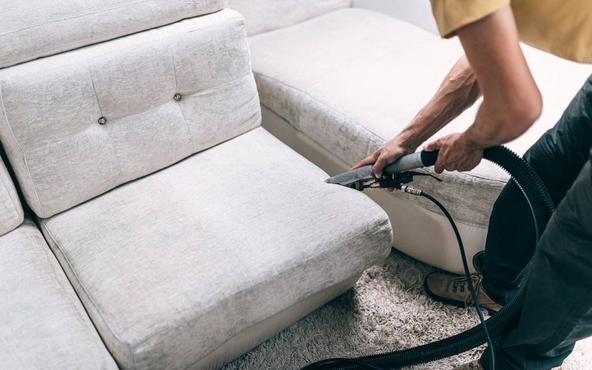 Quels signes montrent que les punaises de lit sont install&eacute;es dans votre canap&eacute; ? Guebwiller