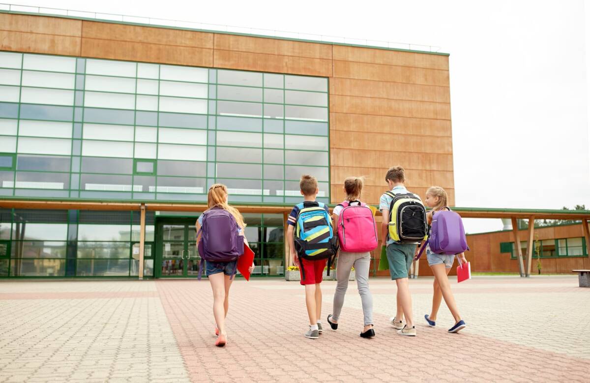 Blattes et rentr&eacute;e scolaire : quels sont les risques dans les &eacute;coles ? S&eacute;lestat