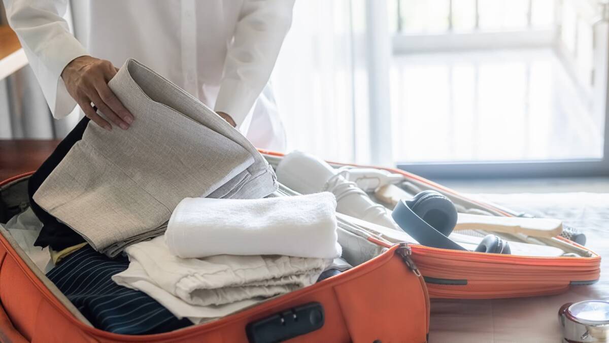 Comment rep&eacute;rer les punaises de lit dans les sacs et valises au retour des vacances ? Mulhouse